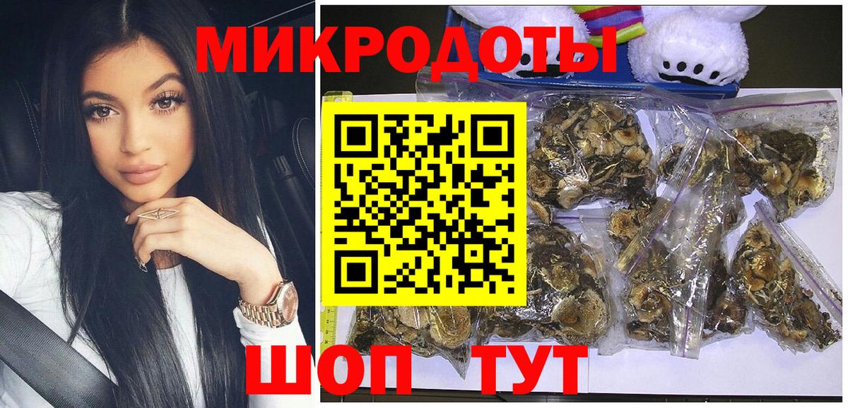 Псилоцибиновые грибы мицелий Кыштым